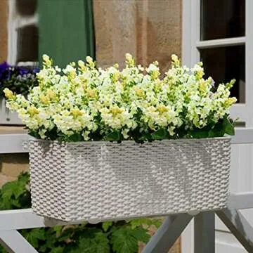 Guagb Artificial Fake Flowers Silk Plastic Plant Arrangement for Home Indoor Outdoor Garden Wedding Table Vase Decorations Faux Snapdragon Flower,3 Bouquets (White)