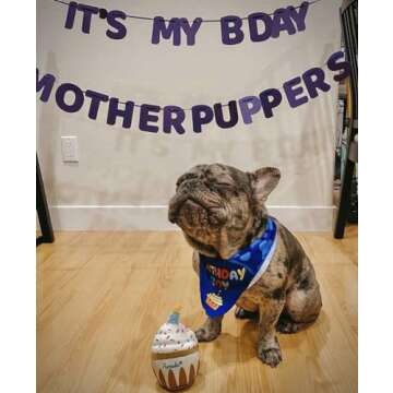 Nestpark Dog Birthday Toy - Pup Cake Puppy Cupcake Plush Squeak and Crinkle Gift