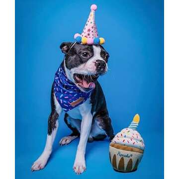 Nestpark Dog Birthday Toy - Adorable Plush Cake Gift