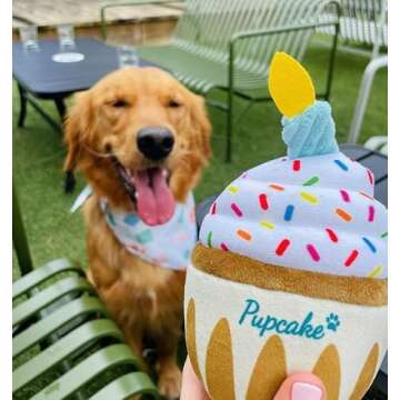 Nestpark Dog Birthday Toy - Adorable Plush Cake Gift