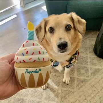 Nestpark Dog Birthday Toy - Adorable Plush Cake Gift