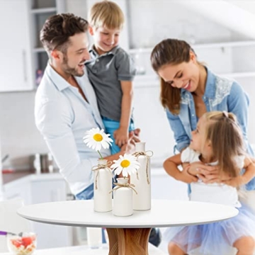 Elegant 3Pcs Ceramic Decorative Vases Set