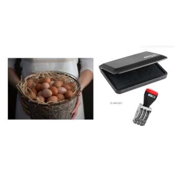 Egg Dater KIT - Includes 3mm Rubber Date Stamp and Ink pad containing Egg Safe Ink - Black