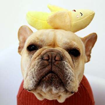 Durable No Stuffing Dog Toys for All Breeds