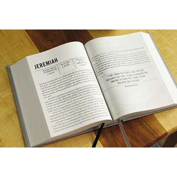 The Jesus Bible, NIV Edition, Cloth over Board, Gray Linen, Comfort Print