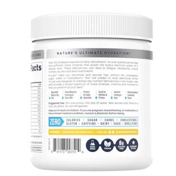 Hi-Lyte Lemonade Electrolyte Powder, Daily Hydration Supplement Drink Mix, 90 Servings | Sugar-Free, 0 Calories, 0 Carbs | No Maltodextrin. Gluten-Free | Supports Keto | Light Refreshing Flavor