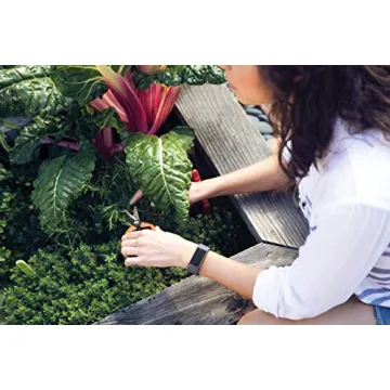 Fitbit Charge 3 Tracker - Heart Rate & Sleep Monitor