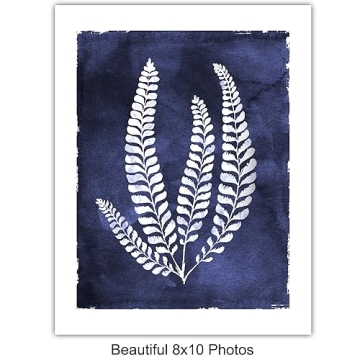 Botanical Wall Art Set for Home Decor and Gifting