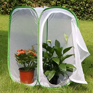 Professional Butterfly Habitat - Ideal for Nature Lovers
