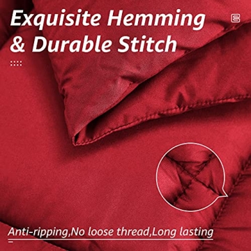 HYLEORY Full Bed Comforter - All Season Soft & Machine Washable