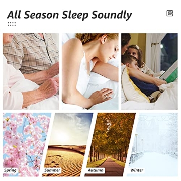 HYLEORY Full Bed Comforter - All Season Soft & Machine Washable