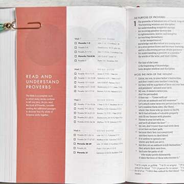 CSB She Reads Truth Bible, Gray Linen Cloth Over Board, Black Letter, Full-Color Design, Wide Margins, Notetaking Space, Devotionals, Reading Plans, Easy-To-Read Bible Serif Type