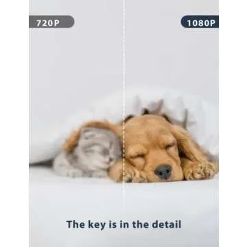 GNCC Pet Camera, Indoor Camera for Baby/Pet/Security with Night Vision, Dog Camera, 2-Way Audio, 2.4G WiFi, 360° PTZ Remote Control(Manual Up and Down), Smart Detection, SD&Cloud Storage, P1