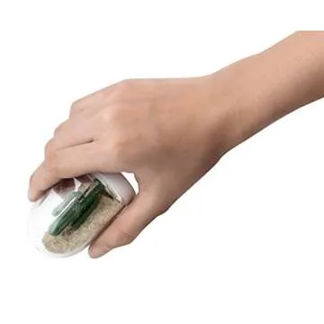 QUALY Winter Summer Salt & Pepper Shaker Set - Unique Design