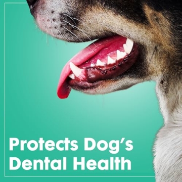 Durable Dog Chew Toys for Aggressive Chewers