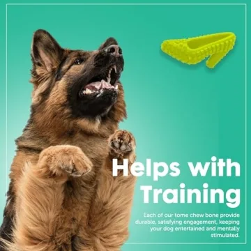 Durable Dog Chew Toys for Aggressive Chewers