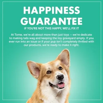 Durable Dog Chew Toys for Aggressive Chewers