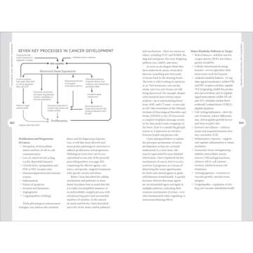 Holistic Cancer Care: An Herbal Approach to Reducing Cancer Risk, Helping Patients Thrive during Treatment, and Minimizing Recurrence