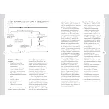 Holistic Cancer Care Strategies for Patients and Practitioners