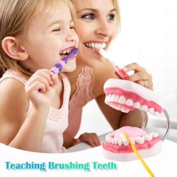 Ultrassist Mouth Model Metal Hinge for Speech Therapy, Ideal Brushing Teaching Dental Teeth Model for Kids and Children, 6 Times Enlarge, Includes Toothbrush