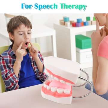 Ultrassist Mouth Model Metal Hinge for Speech Therapy, Ideal Brushing Teaching Dental Teeth Model for Kids and Children, 6 Times Enlarge, Includes Toothbrush