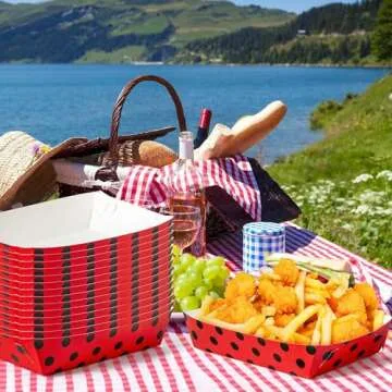 Eco-Friendly Ladybug Food Trays for Parties and Picnics