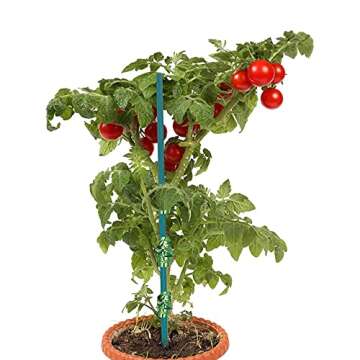 POLIUMB Green Plant Stakes Garden Wood Plant Support Stakes, Sturdy Wooden Floral Bamboo Sticks, Garden Sticks Sign Posting (18 inches-25 Pack)