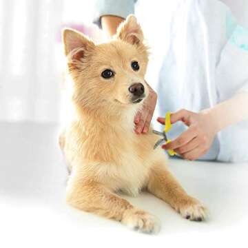 CONAIRPRO Dog & Cat Grooming Round Tip Shears 6-Inch