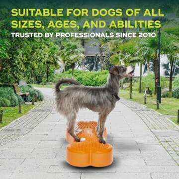 FitPAWS K9FITbone Regular for Dog Strength & Balance