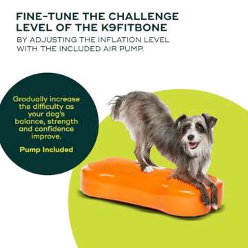 FitPAWS K9FITbone Regular for Dog Strength & Balance
