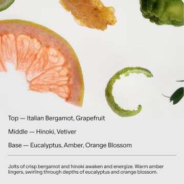 Salt & Stone Body Mist, Bergamot & Hinoki Scent, Skincare Infused Perfume Hair & Body Spray for Women and Men, Hydrating Fragrance with Glycerin and Red Algae, Vegan, Cruelty Free, 3.4 fl oz