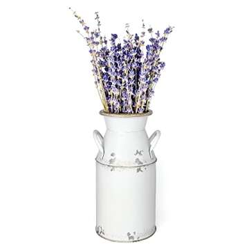 Fauevav Galvanized Milk Can Antique Retro Vase Metal Planter Rustic Vintage Primitive Flower Holder Farmhouse Country Plant for Home Office Decor, 7.6”
