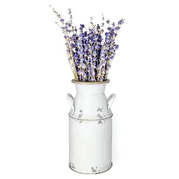 Fauevav Galvanized Milk Can Antique Retro Vase Metal Planter Rustic Vintage Primitive Flower Holder Farmhouse Country Plant for Home Office Decor, 7.6”