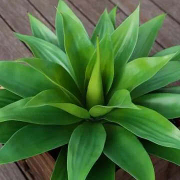 Ferrgoal Artificial Plants Fake Agave Succulent Plant 28 Inch Big Size Faux Succulents Stems for Indoor Outdoor Realistic & Natural Home Decor Plants for Office Housewarming 2 Pack