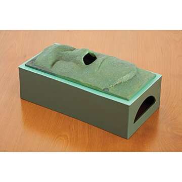 Bits and Pieces-Tissue Box Cover Stone Face Tissue Holder - Great Gag Gift for Your Office, Desk, or Living Room