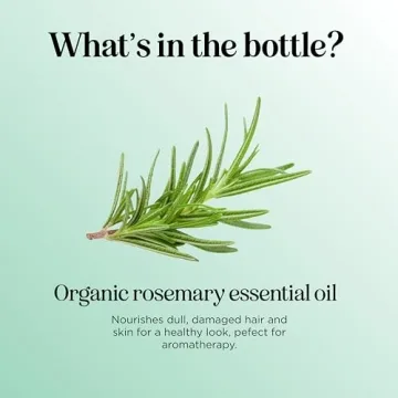 Pure Organic Rosemary Oil for Hair and Skin Care