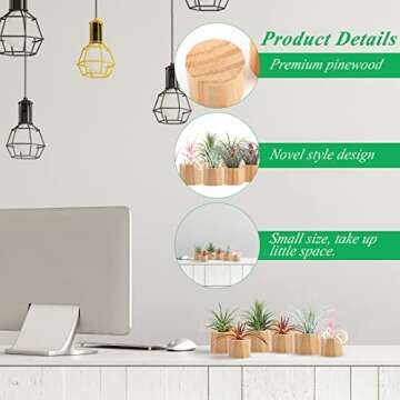 Set of 6 Wood Air Plant Holder- 2 Sizes Rustic Style Air Plant Stands Indoor Decorative Air Plants Display Containers Table Centerpiece for Home Office Tabletop Decor Supplies Gifts(Internal Dia 1.2" & 1.4")