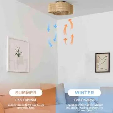 Boho Caged Ceiling Fan with Light - Stylish & Quiet