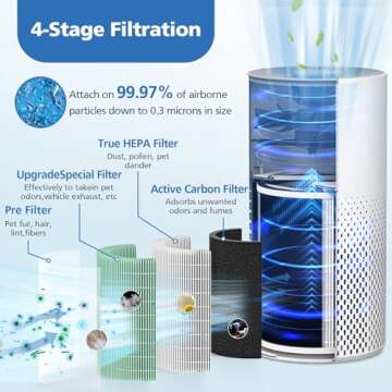 2 Pack True HEPA KILO Filter, 4 in 1 Pet Replacement Filter, 360° 4-Stage Filtration, Compatible with Afloia KILO, KILOPLUS, KILOPRO, MIRO, MIRO PRO, for MORENTO MR-Kilo, Kalo Air Purifier, Green
