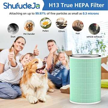 2 Pack True HEPA KILO Filter, 4 in 1 Pet Replacement Filter, 360° 4-Stage Filtration, Compatible with Afloia KILO, KILOPLUS, KILOPRO, MIRO, MIRO PRO, for MORENTO MR-Kilo, Kalo Air Purifier, Green