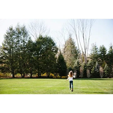 Tegu Magnetic Wooden Blocks 8-Piece Set Portable Fun