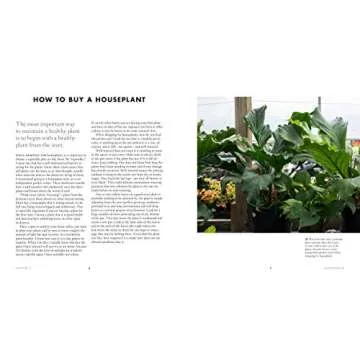 Grow in the Dark with Low-Light Houseplants Guide