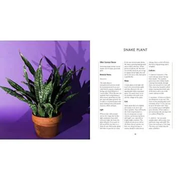 Grow in the Dark with Low-Light Houseplants Guide