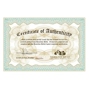 Elegant Hamilton Hills 24x36 Gold Beveled Mirror for Home