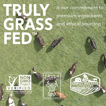 Iconic Protein Drinks, Cacao + Greens - Sugarfree & Organic