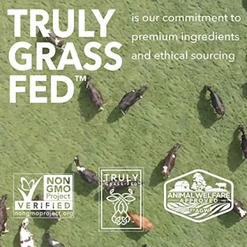 Iconic Protein Drinks, Cacao + Greens - Sugarfree & Organic