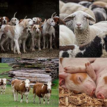 Halter Disposable Artificial Insemination Gloves, Veterinary Gloves Shoulder Length Disposable Cow Palpation, Gloves Disposable Animal(50PCS,35")