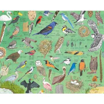 Nature Anatomy: Birds