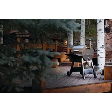 Traeger Pro 22 Pellet Grill - Ultimate 6-in-1 BBQ Experience