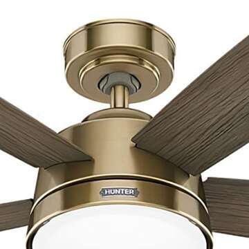 Hunter Fan 52 Inch Casual Burnished Brass Finish Indoor Ceiling Fan with LED Light Kit and Remote Control (Renewed)